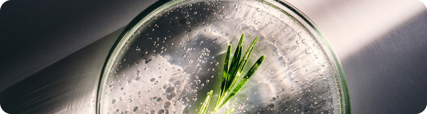 브랜드소개엘리오나이미지